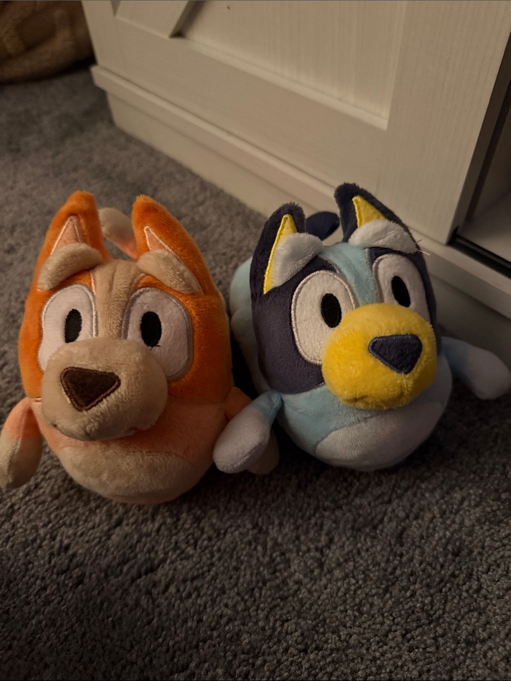 Bluey and Bingo slippers 5/6 little kid